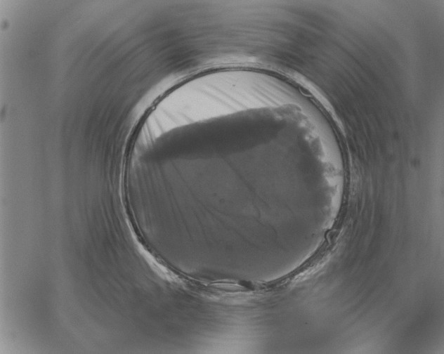 X0000067391245200604211625