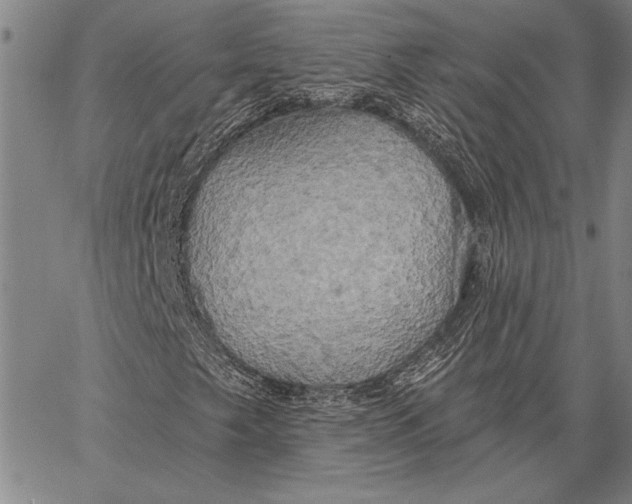 X0000067391249200604211624