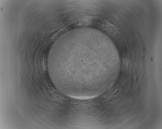 X0000067391250200604211624