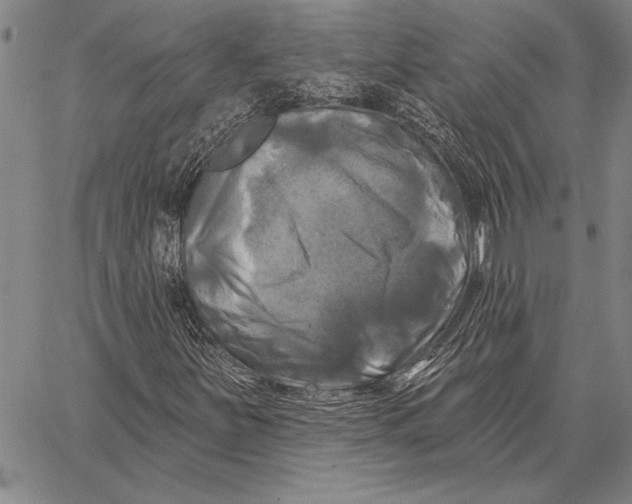 X0000067391251200604211624