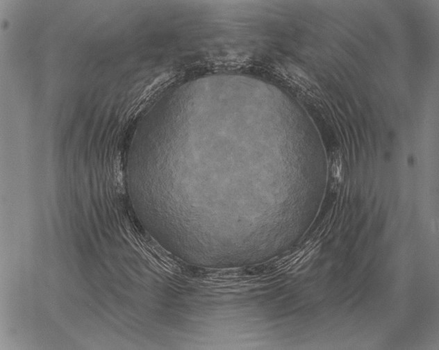 X0000067391252200604211624