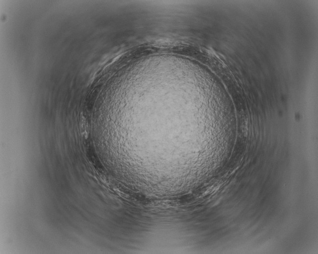 X0000067391253200604211624