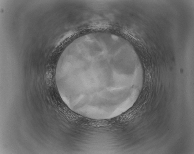 X0000067391254200604211624