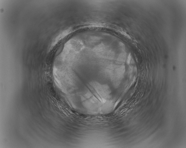 X0000067391255200604211624