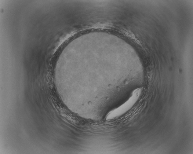 X0000067391256200604211624