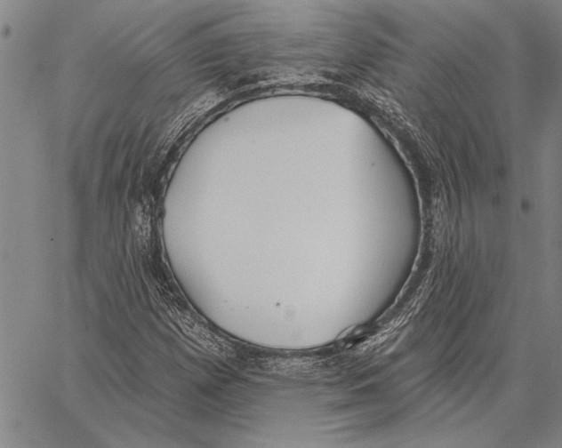 X0000067391257200604211624