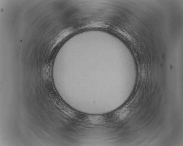 X0000067391258200604211624