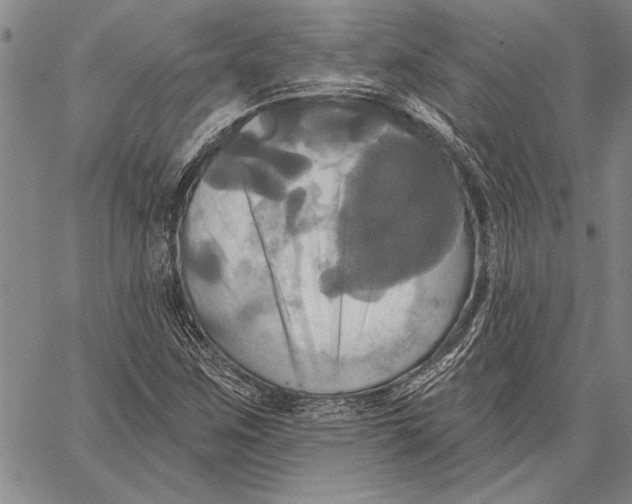 X0000067391259200604211624