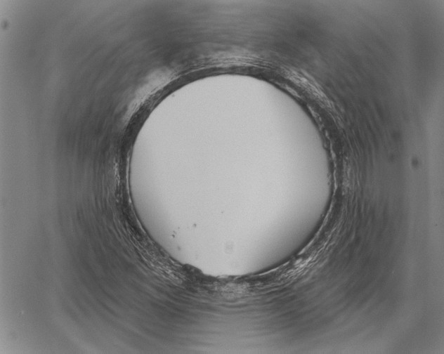 X0000067391261200604211624