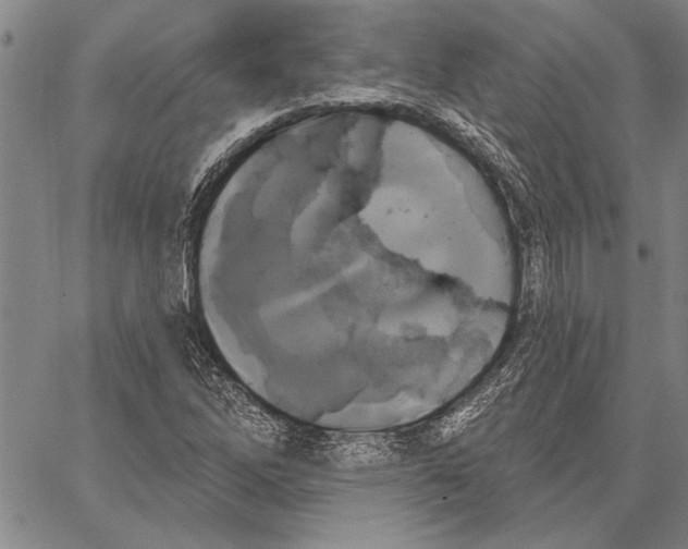 X0000067391262200604211624