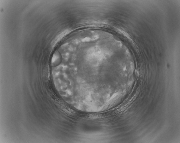 X0000067391267200604211624