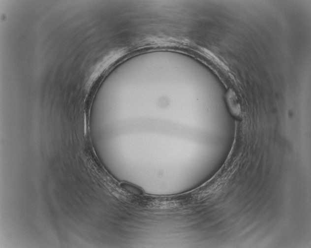 X0000067391269200604211624