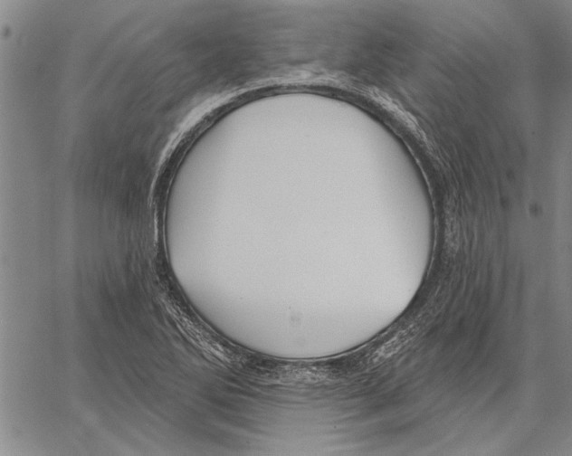 X0000067391270200604211624