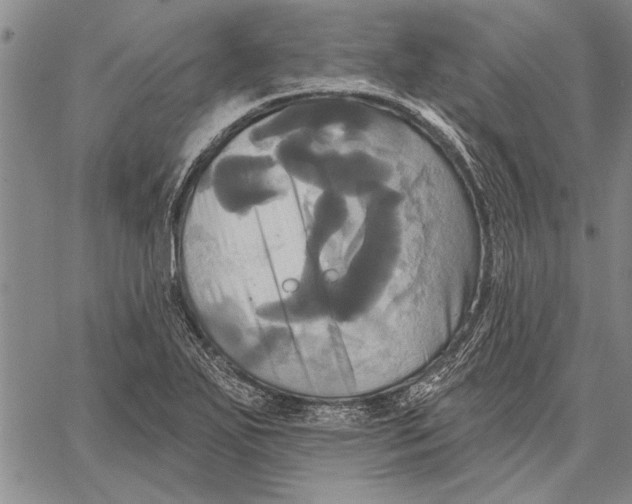 X0000067391271200604211624