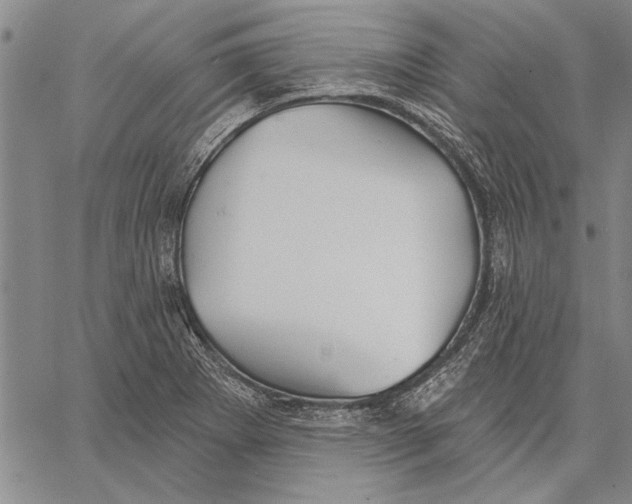 X0000067391273200604211624