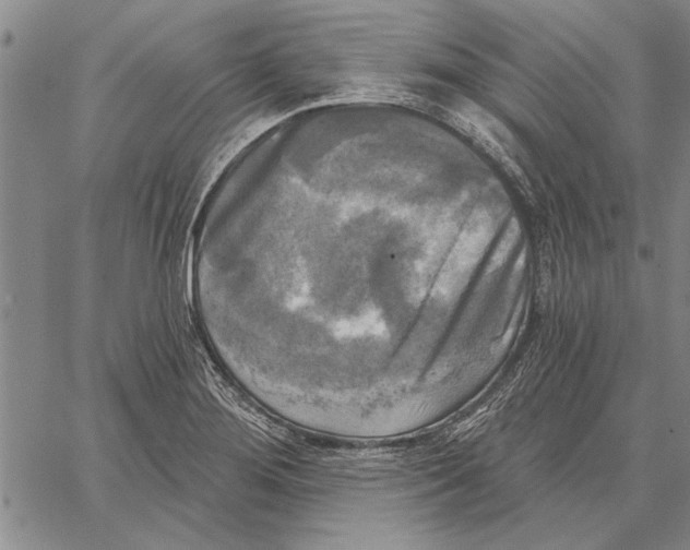 X0000067391276200604211624