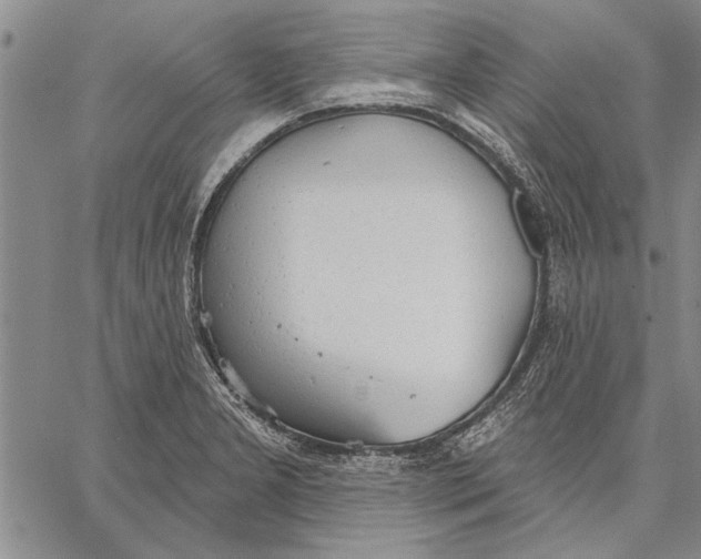 X0000067391277200604211624