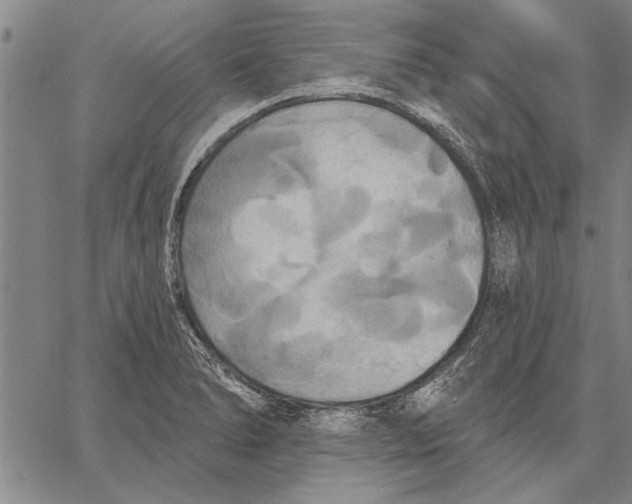 X0000067391278200604211624