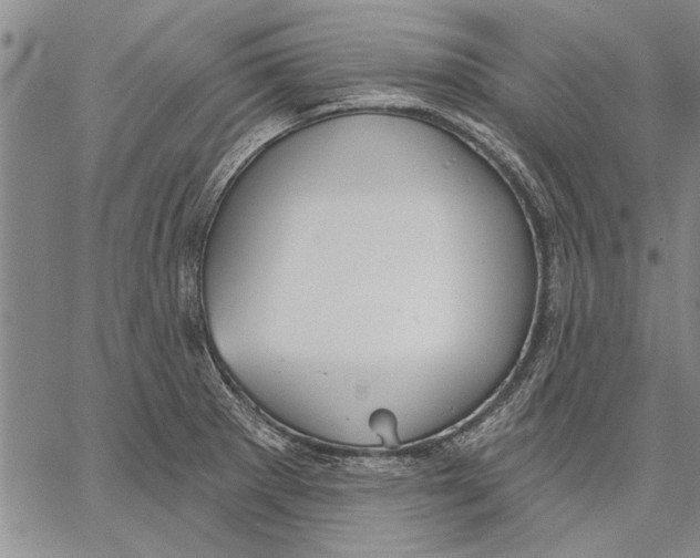 X0000067391281200604211624