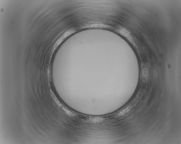 X0000067391282200604211624