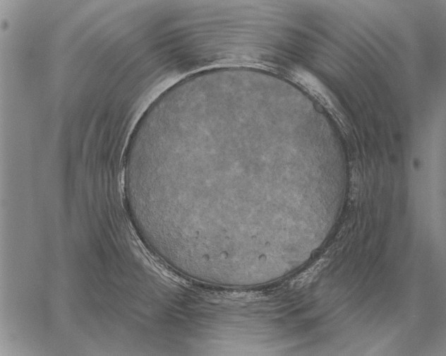 X0000067391284200604211624