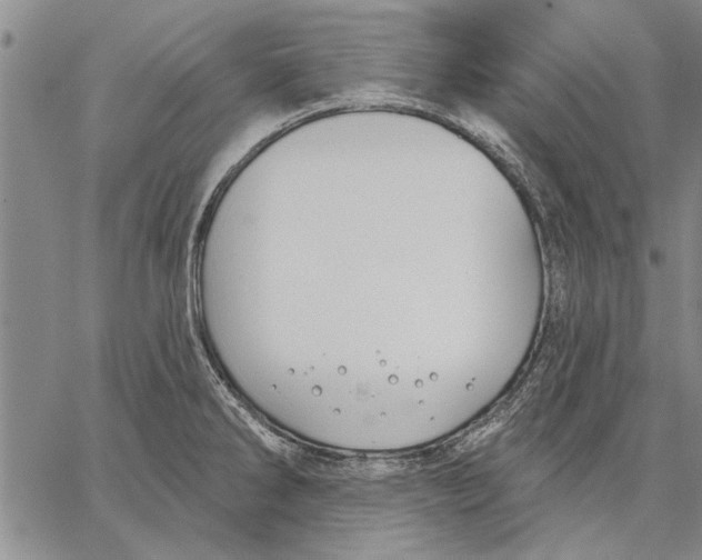 X0000067391286200604211624