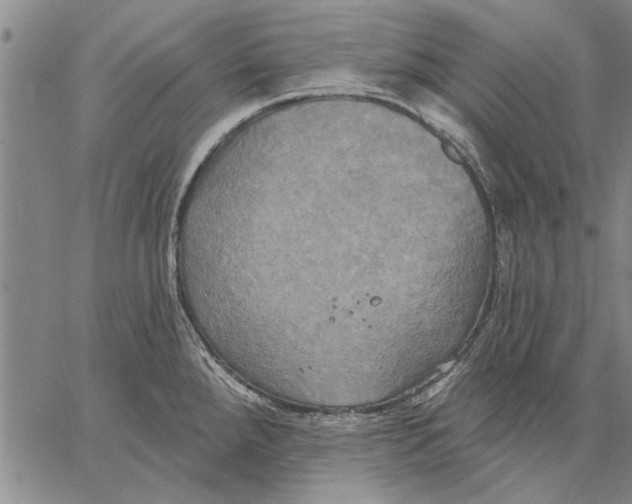 X0000067391288200604211624