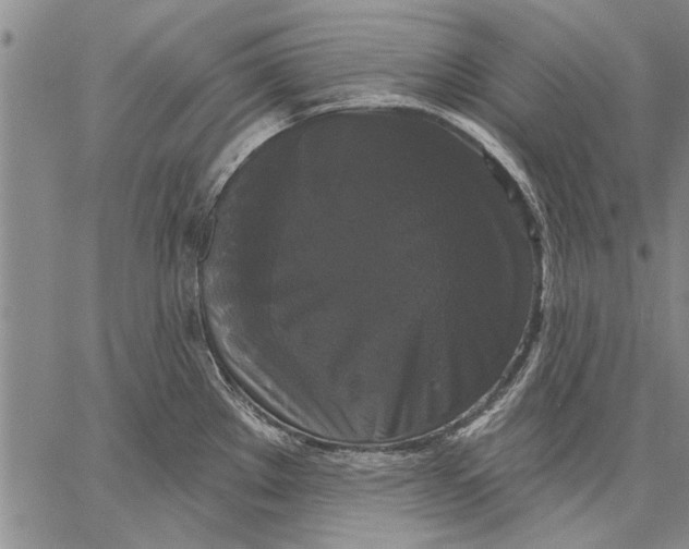 X0000067391289200604211624