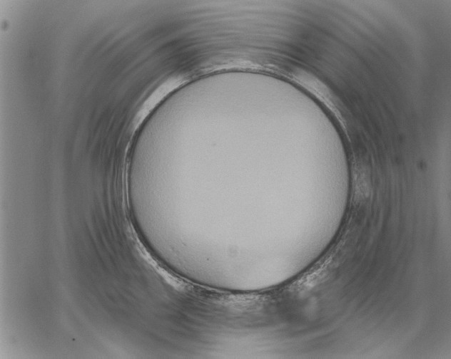 X0000067391290200604211624