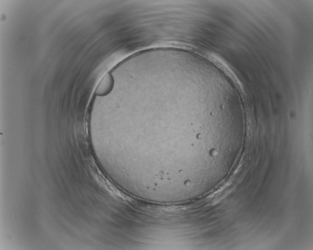 X0000067391292200604211624