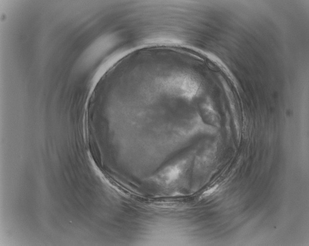 X0000067391295200604211624