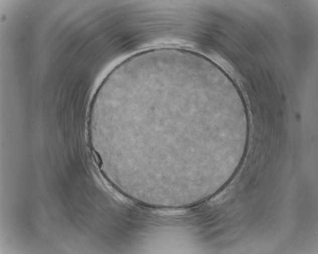 X0000067391296200604211624