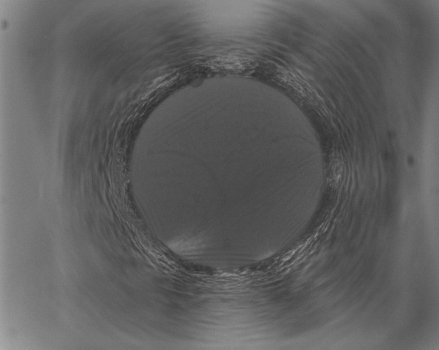 X0000067391297200604211623