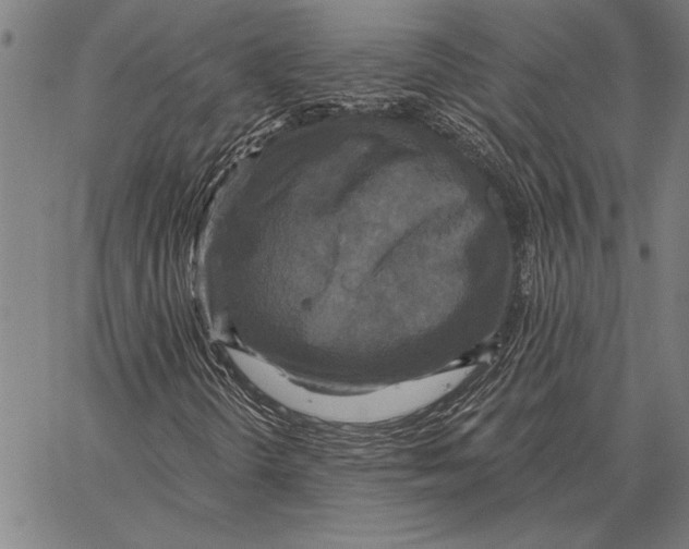 X0000067391298200604211623