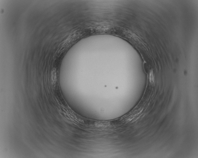 X0000067391299200604211623