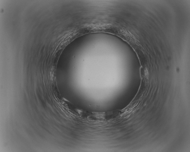 X0000067391300200604211623