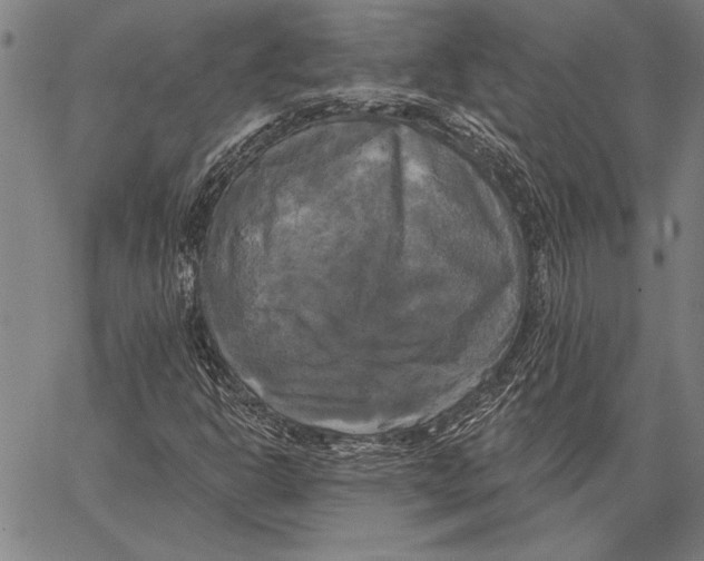 X0000067391302200604211623