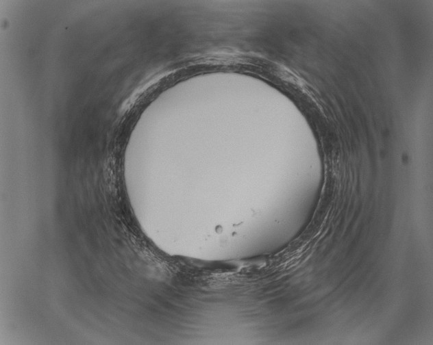 X0000067391304200604211623