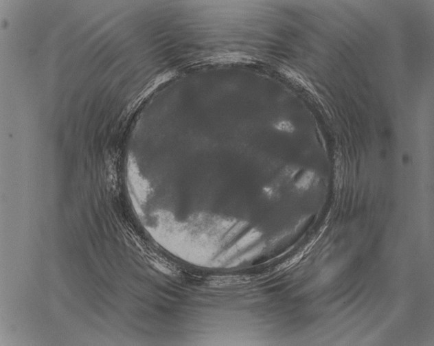 X0000067391305200604211623