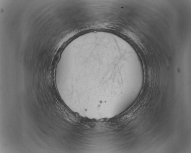 X0000067391308200604211623