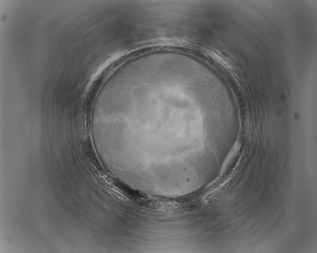 X0000067391310200604211623