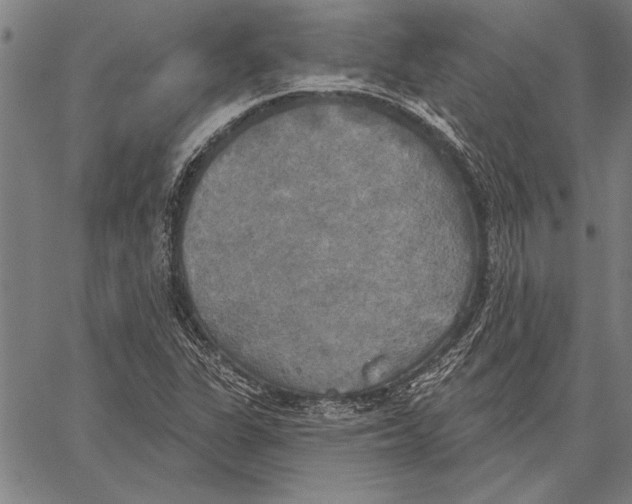 X0000067391311200604211623