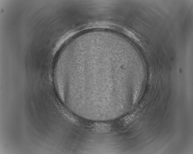 X0000067391312200604211623