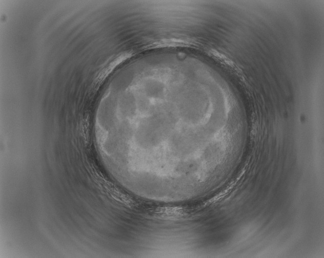 X0000067391313200604211623