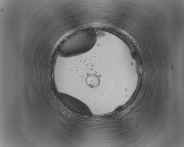 X0000067391314200604211623