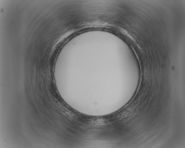 X0000067391315200604211623