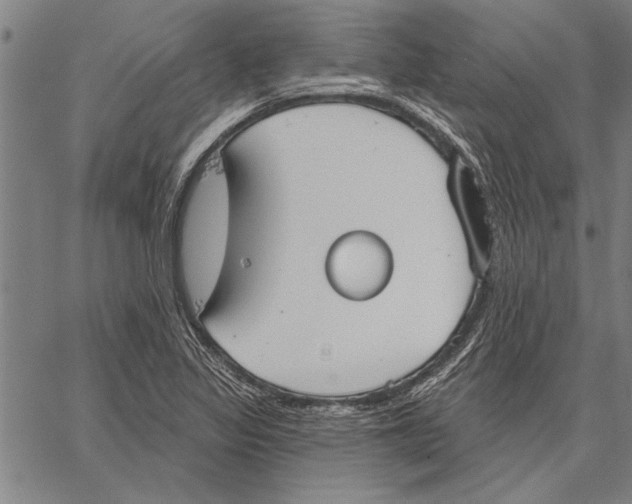 X0000067391317200604211623