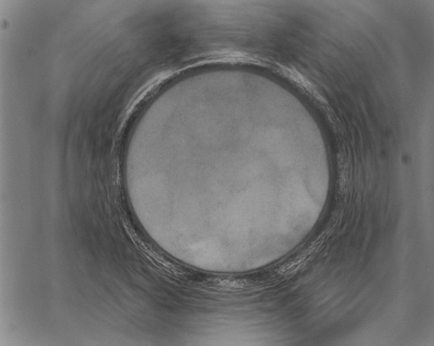 X0000067391318200604211623