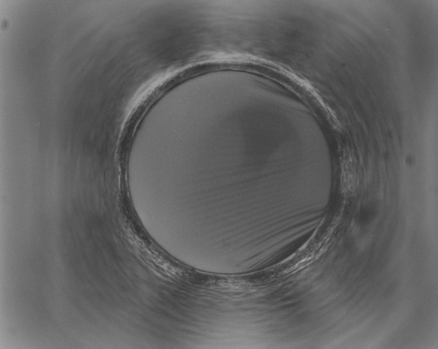 X0000067391319200604211623