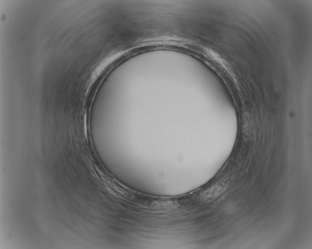 X0000067391320200604211623